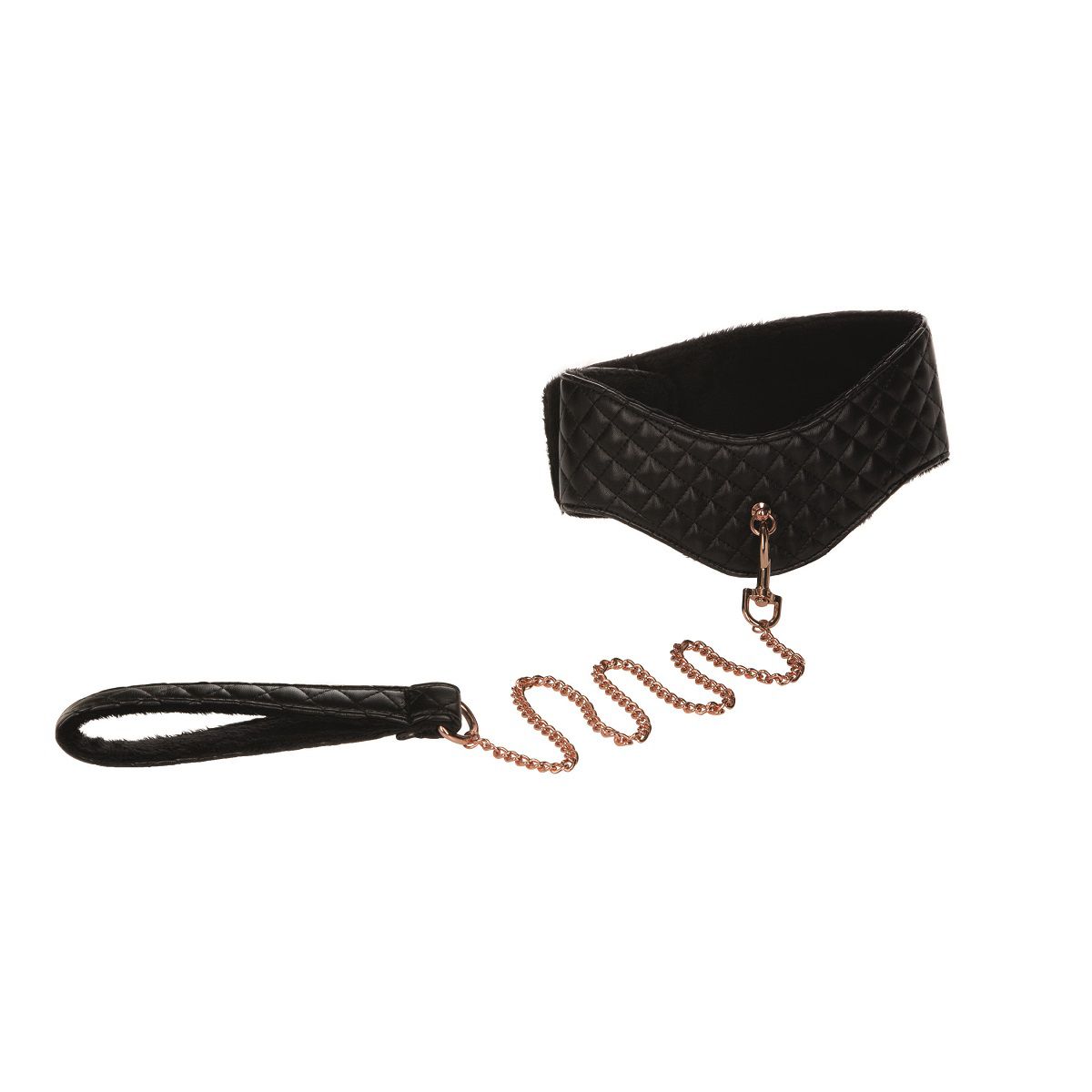    Entice Posture Collar with Leash
