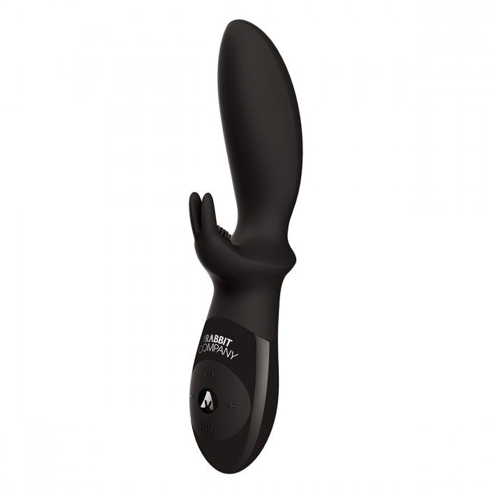 ׸     BACKDOOR RABBIT