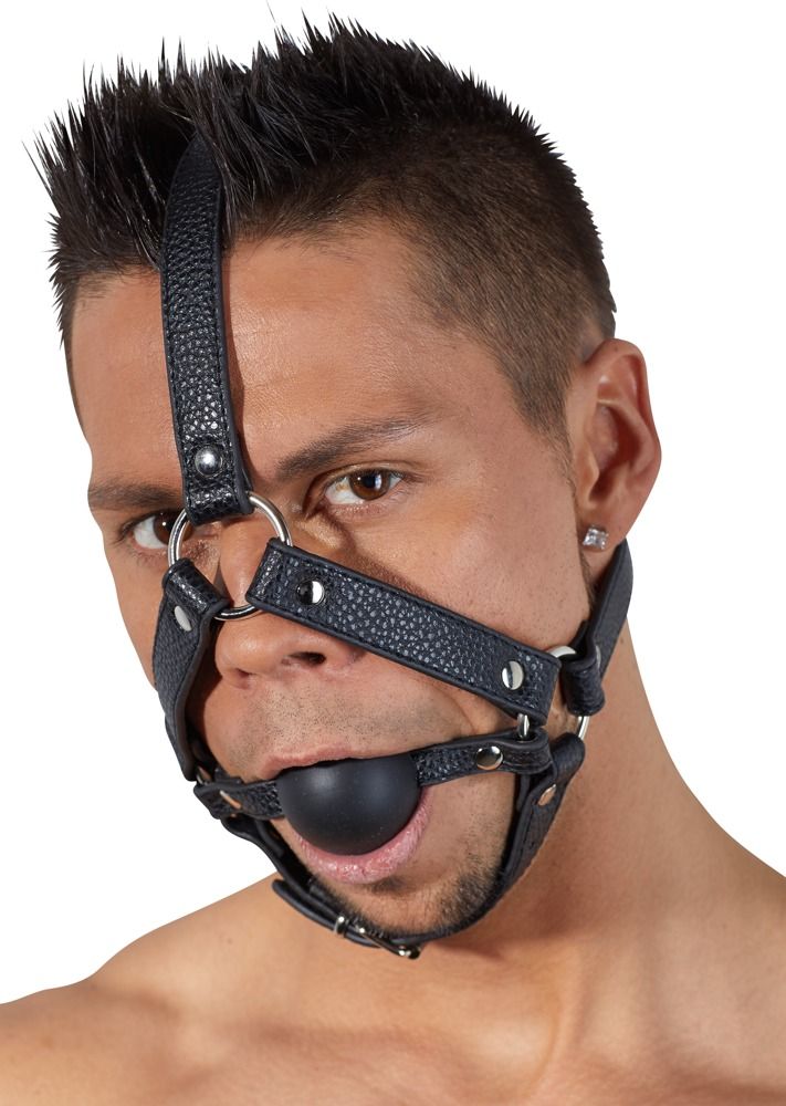 -     Head Harness