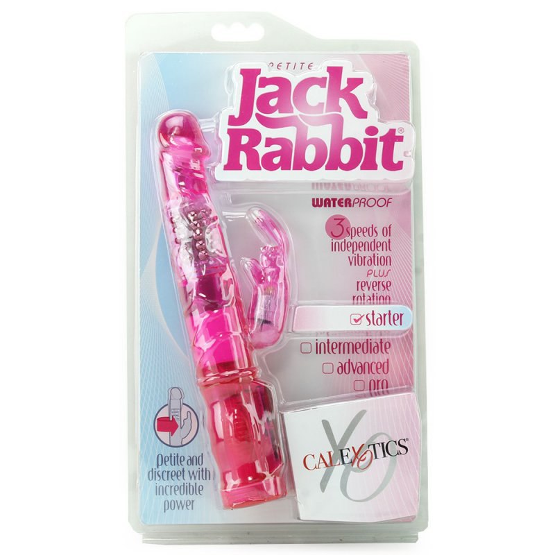  Petite Jack Rabbit  