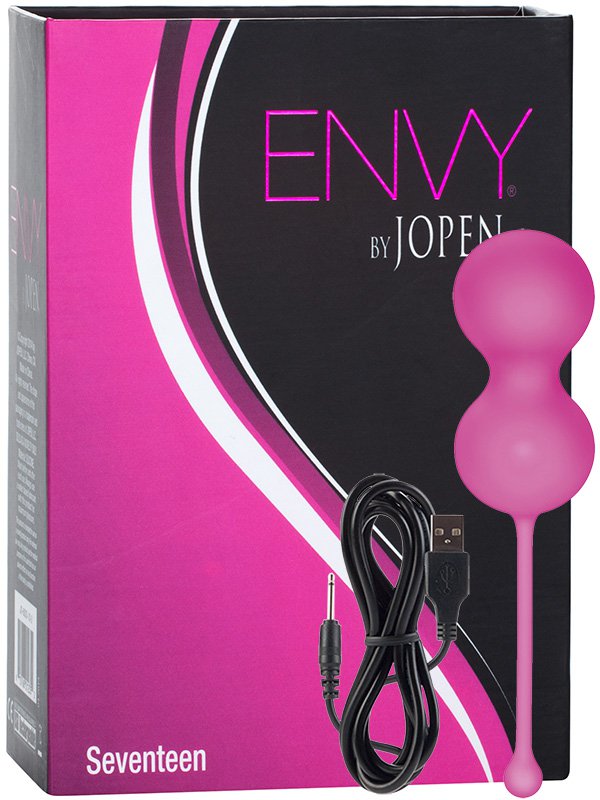   Envy Seventeen   