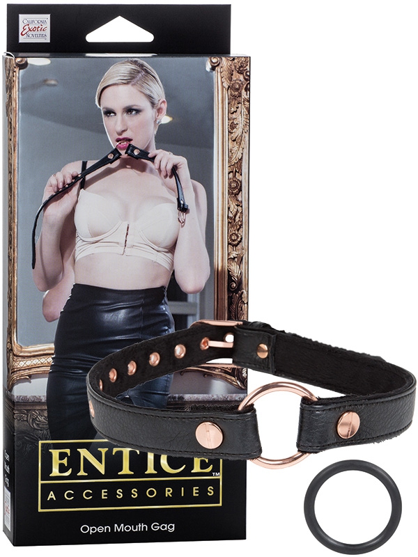     Entice Open Mouth Gag