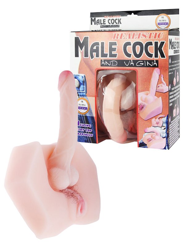    Male Cock and Vagina       