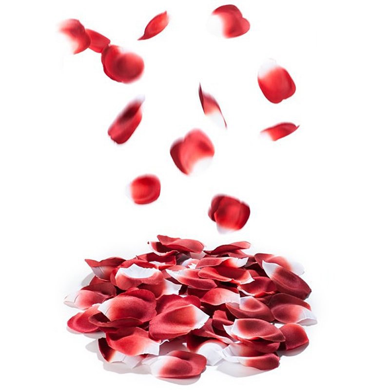    Rose Petal  