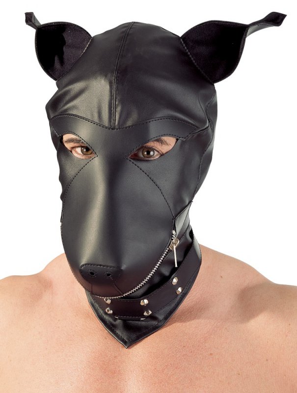 -  Fetish ollection Dog - 